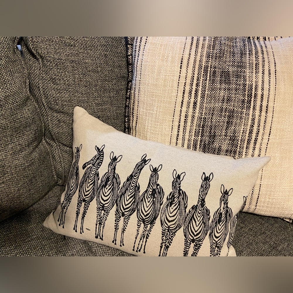 (2)Pier 1 accessory pillows/pair